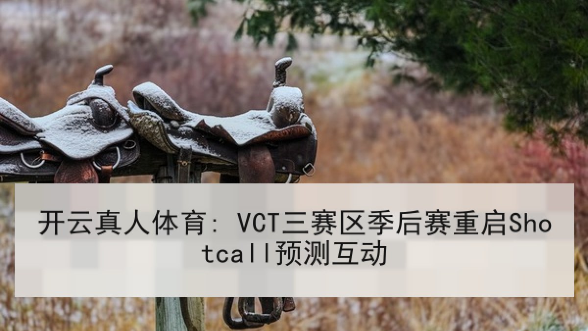 开云真人体育: VCT三赛区季后赛重启Shotcall预测互动