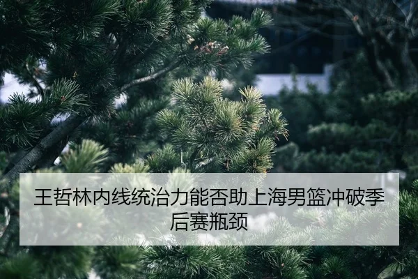 wang-zhe-lin-nei-xian-tong-zhi-li-neng-fou-zhu-shang-hai-nan-lan-chong-po-ji-hou-sai-ping-jing-2-393.jpg
