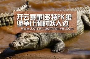 开云电竞