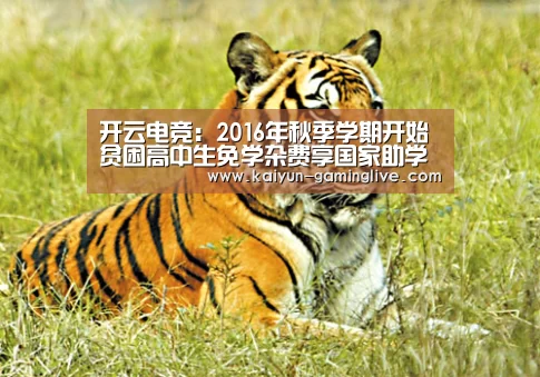 开云电竞:2016年秋季学期开始 贫困高中生免学杂费享国家助学金(图3) 开云直播