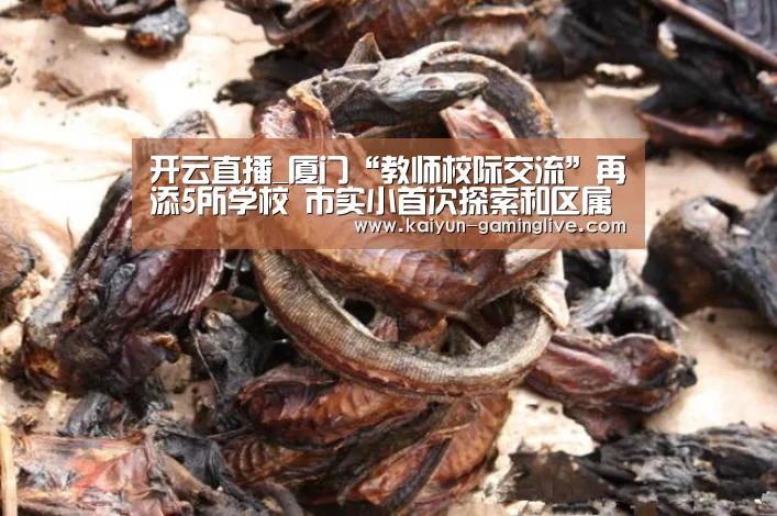 开云直播_厦门“教师校际交流”再添5所学校 市实小首次探索和区属学校交流(图1) 开云直播